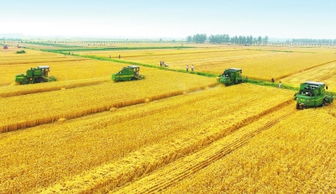 河南農業供給側結構性改革 聚焦提質增效的現代農業