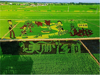 加速新型農(nóng)業(yè)發(fā)展,華為云助力沈陽稻夢空間建設數(shù)字化產(chǎn)業(yè)園