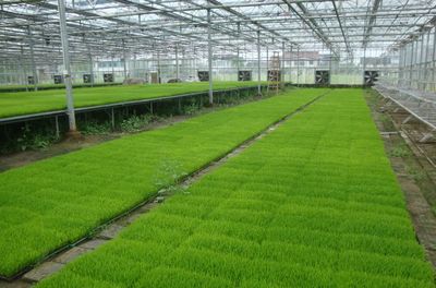 余姚再接喜報(bào),為寧波唯一!