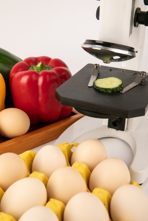 甜椒雞蛋食品安全農(nóng)業(yè)科技食品培育攝影圖 插畫 下載至來源處