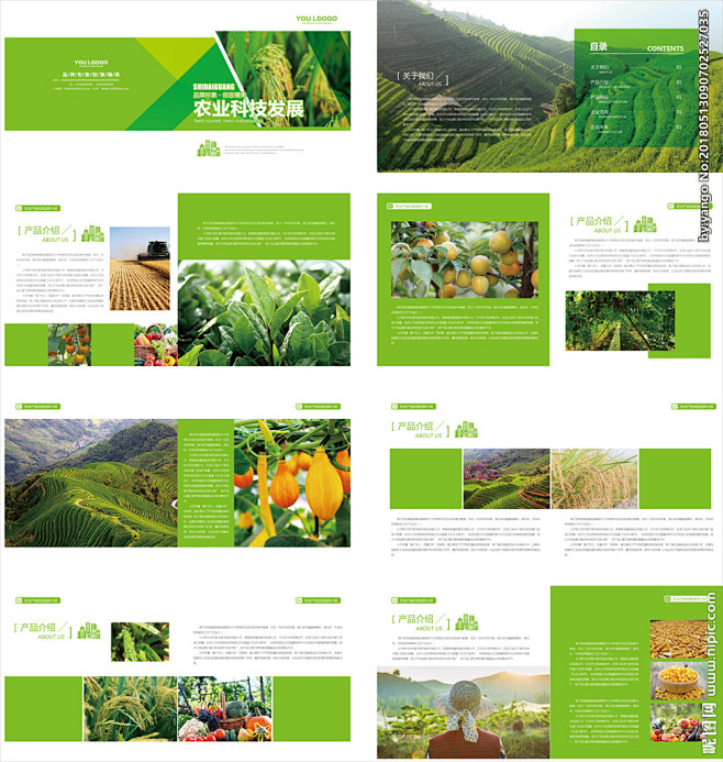 中墾集團湖北神農(nóng)架特產(chǎn)畫冊|平面|宣傳品|liukaien - 站