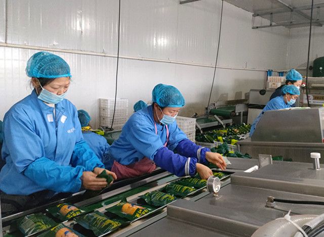 寶清縣農(nóng)民足不出戶家門口打工掙錢腰包鼓