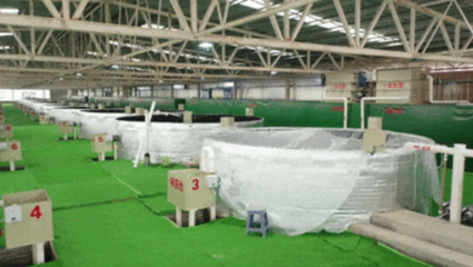 余慶縣:&ldquo;海鮮陸養&rdquo; 推動綠色漁業發展