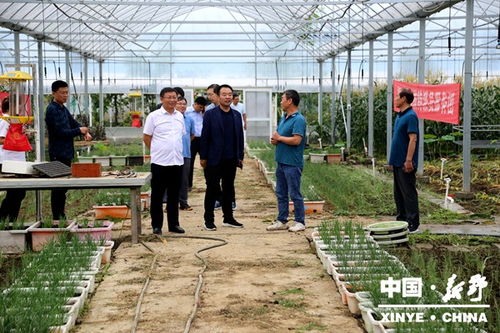 河南建業(yè)集團(tuán)考察調(diào)研新野縣特色農(nóng)業(yè)產(chǎn)業(yè)項目建設(shè)工作