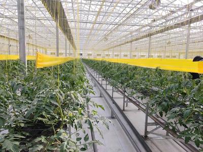 【觀察】緊盯&ldquo;十四五&rdquo;目標(biāo) 濰坊國家農(nóng)綜區(qū)模式再升級