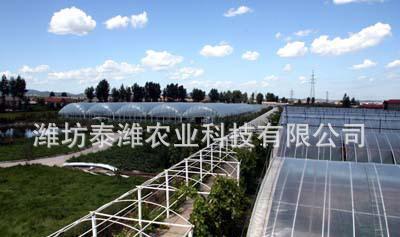 農產大棚 日光溫室大棚及套件 優質 大棚 【圖】